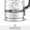 Breville Crystal Clear Kettle BKE595XL(1.8 Quarts)