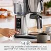 Breville Luxe Drip Coffee Machine BDC415BTR, Black Truffle, Glass Carafe(Olive Tapenade)